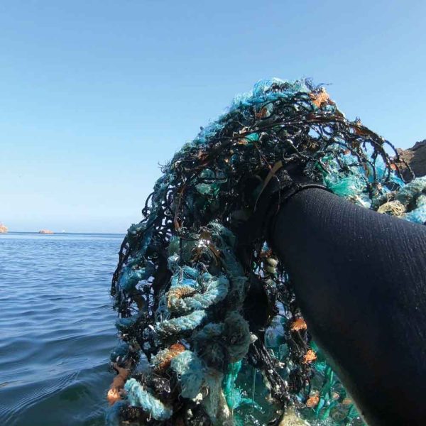 Skomer Island Bracelet <br><br><I> Recycled from Lobster Pot Netting - Image 4